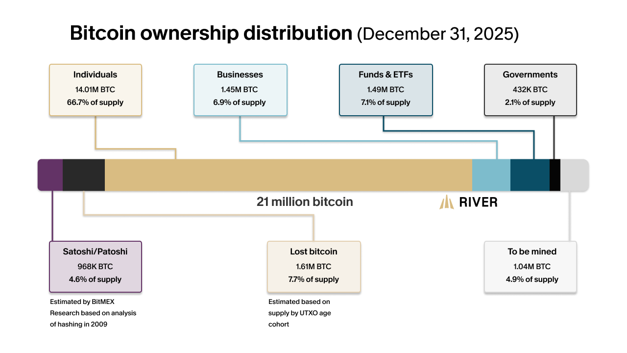A chart showing the distribution of Bitcoin ownership among individuals, businesses, funds/ETFs, governments, Satoshi, lost BTC, and to be mined.