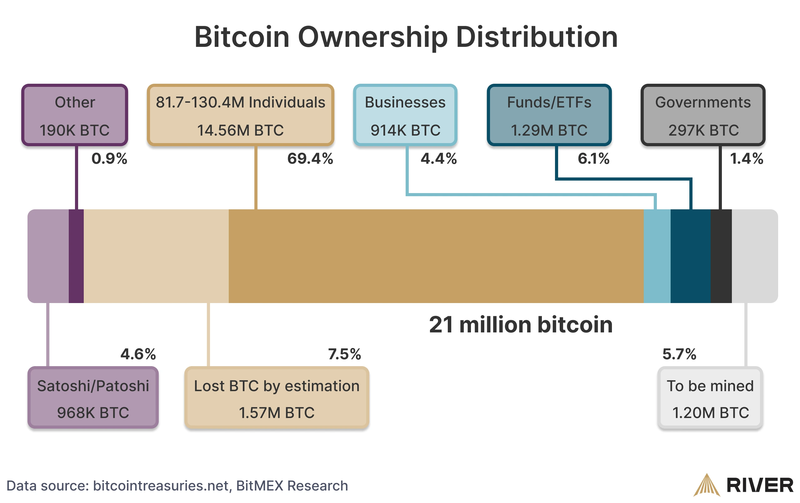 Bitcoin Ownership Distribution: Visualization of Bitcoin’s distribution across individuals, businesses, funds/ETFs, governments, lost coins, and Satoshi’s holdings, illustrating the allocation within the 21 million Bitcoin hard cap.