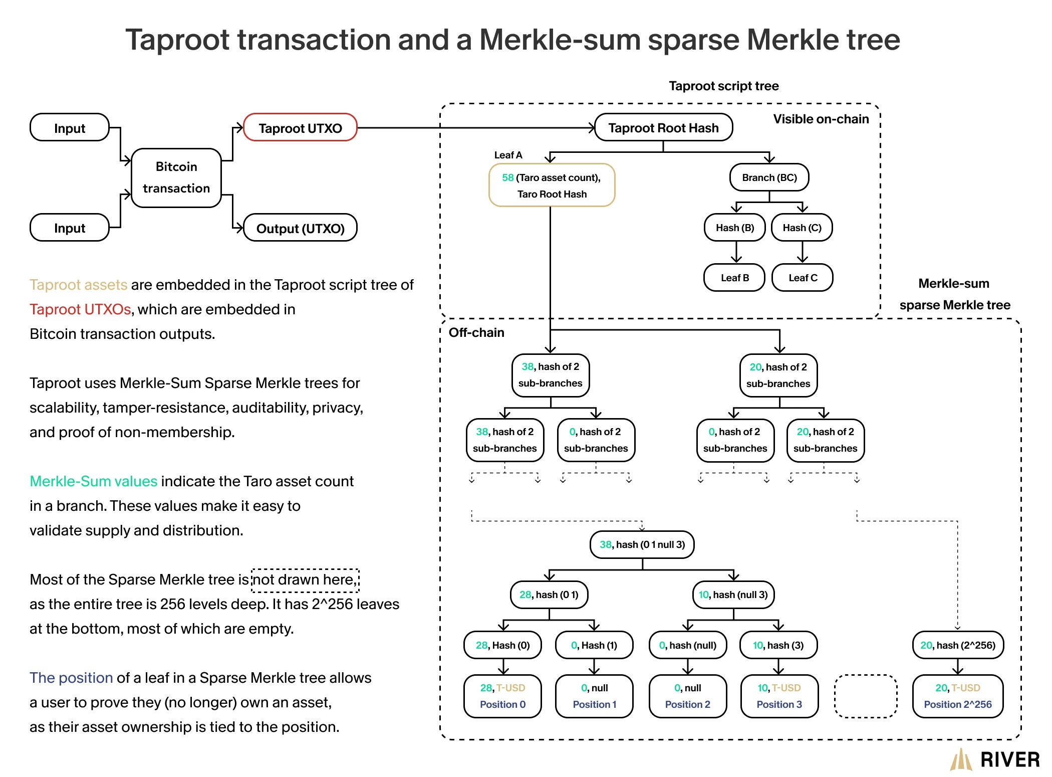 Merkle-Sum Sparse Merkle tree