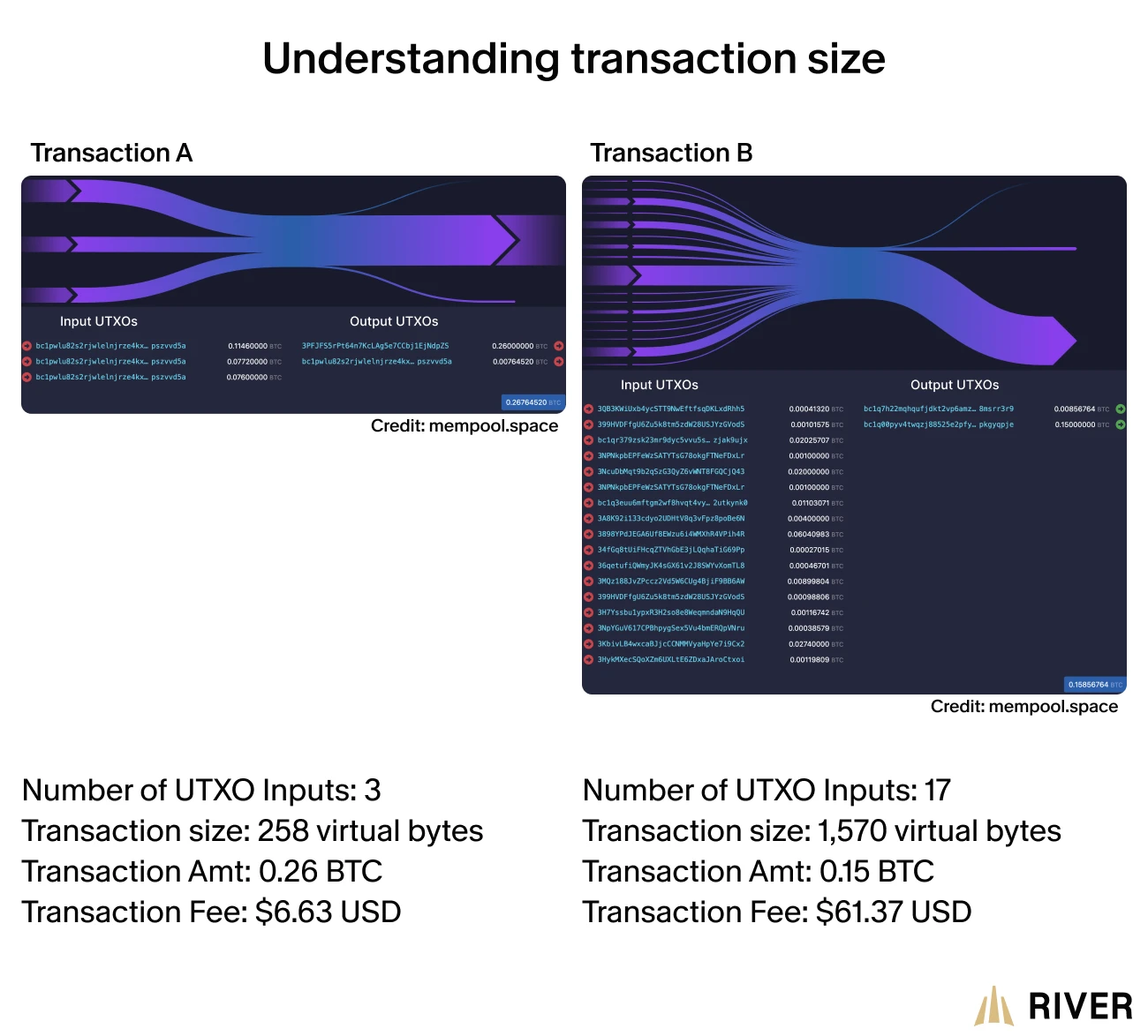 A Comparison of Bitcoin Transactions